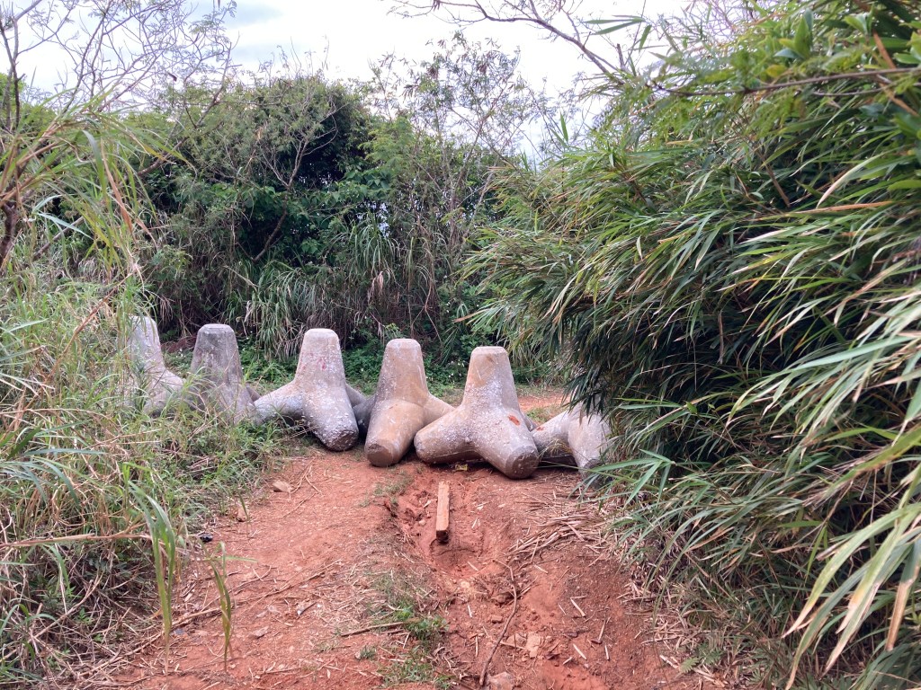 jungle tetrapods